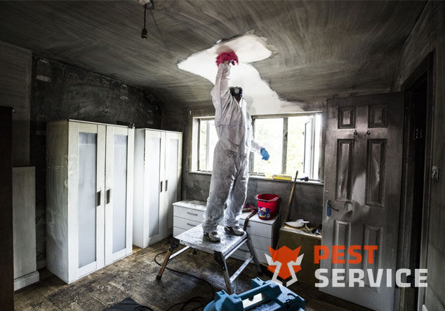 Профессиональная уборка помещений после пожара в Кирове от 2500 руб: удаление сажи, копоти и запаха гари, глубокая очистка поверхностей и восстановление чистоты. Быстро, безопасно и эффективно.